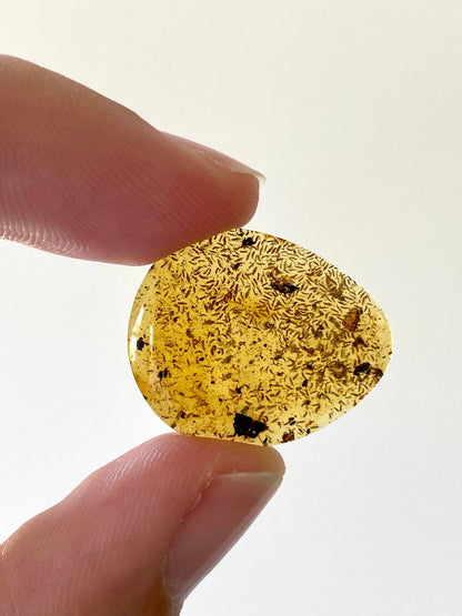 Many small flies in Burmese Amber, fossil tree resin - FossilsAndMore