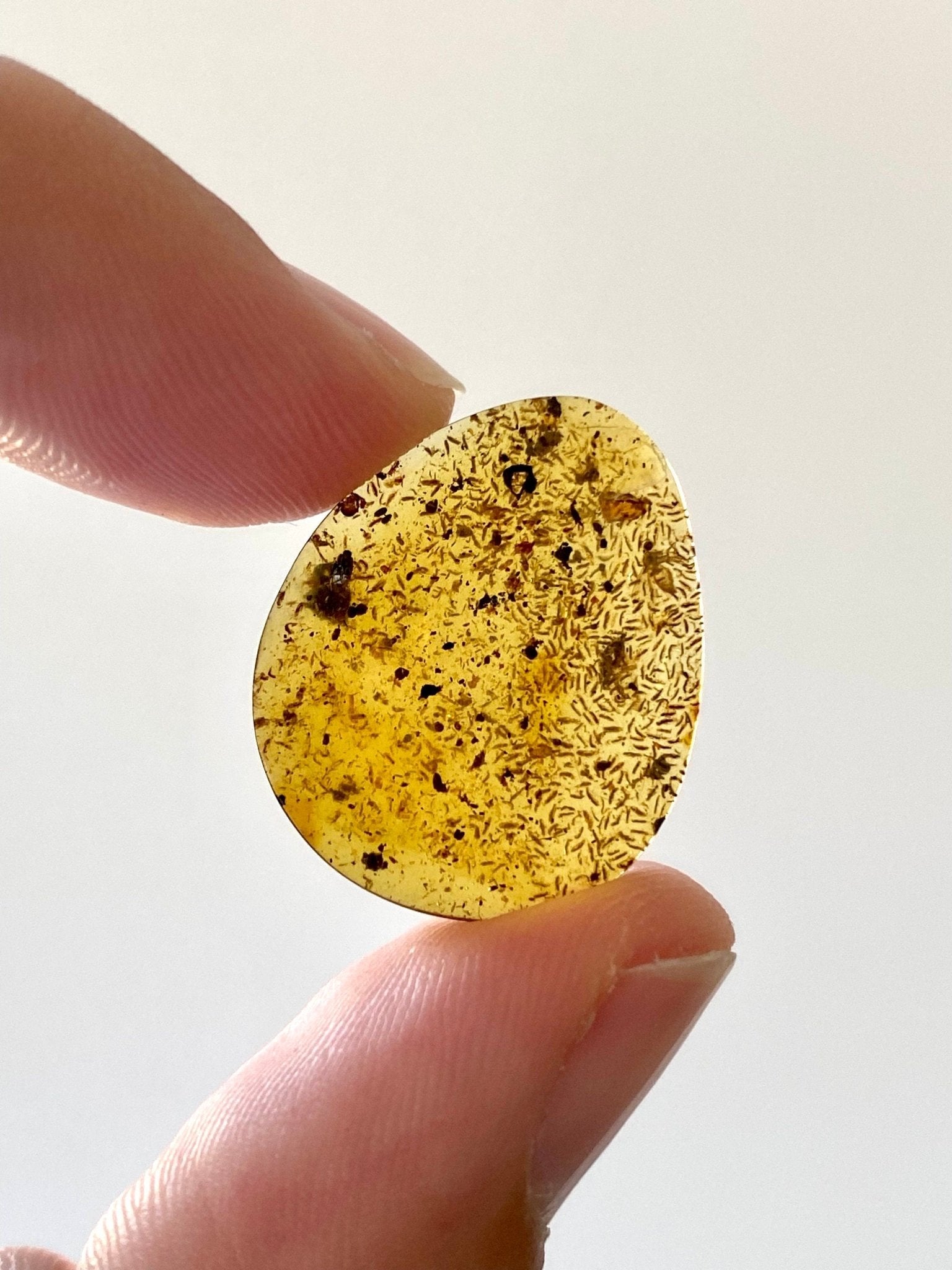 Many small flies in Burmese Amber, fossil tree resin - FossilsAndMore