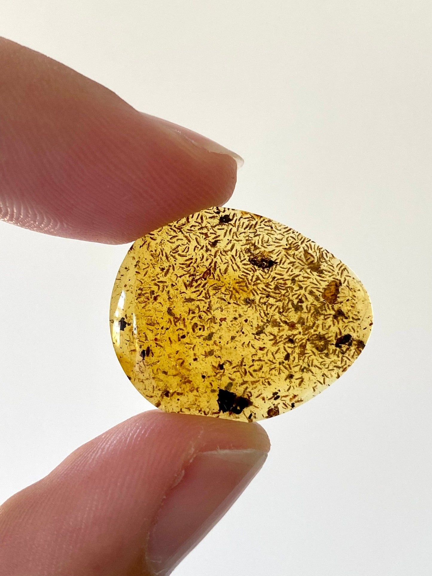 Many small flies in Burmese Amber, fossil tree resin - FossilsAndMore