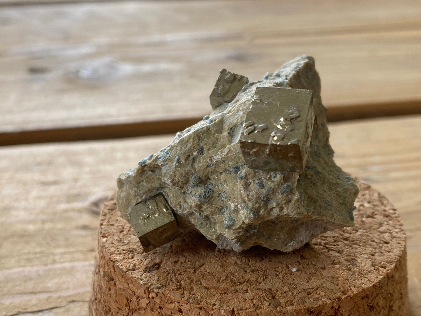 Pyrite cubes on small matrix from Navajun, mineral - FossilsAndMore