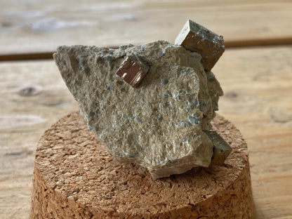 Pyrite cubes on small matrix from Navajun, mineral - FossilsAndMore