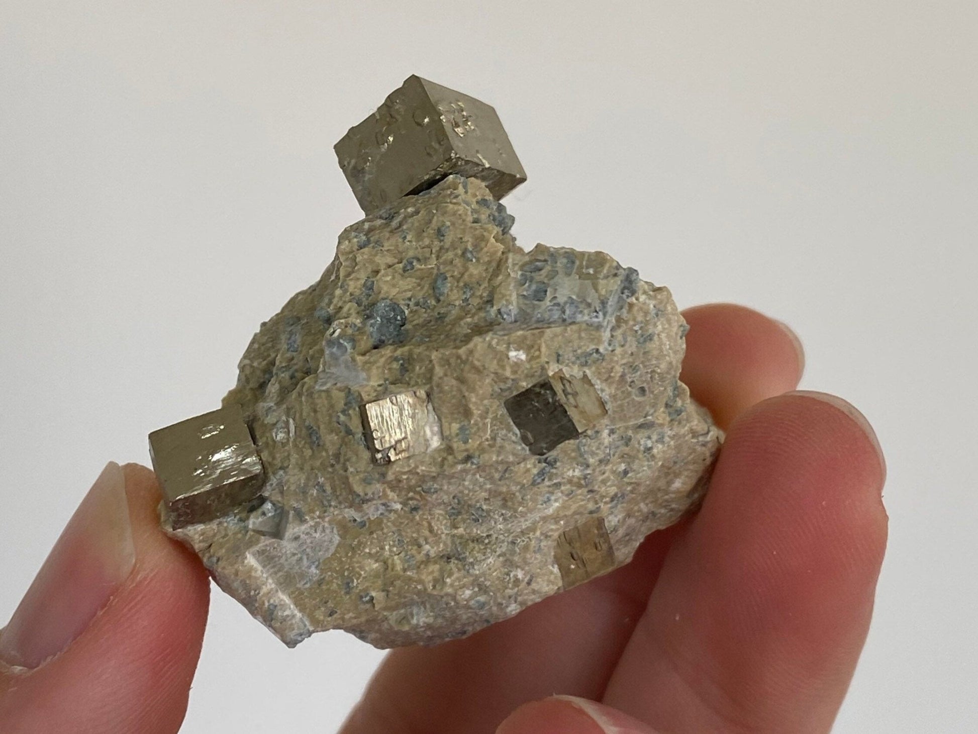 Pyrite cubes on small matrix from Navajun, mineral - FossilsAndMore