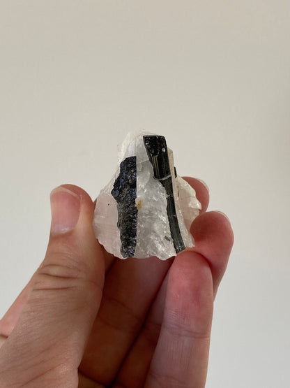 Raw Tourmaline on quartz - FossilsAndMore