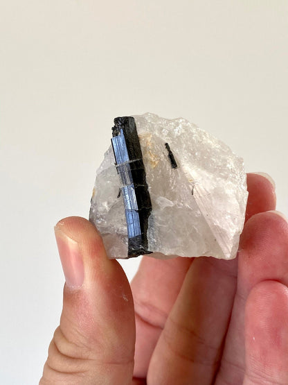 Raw Tourmaline on quartz - FossilsAndMore