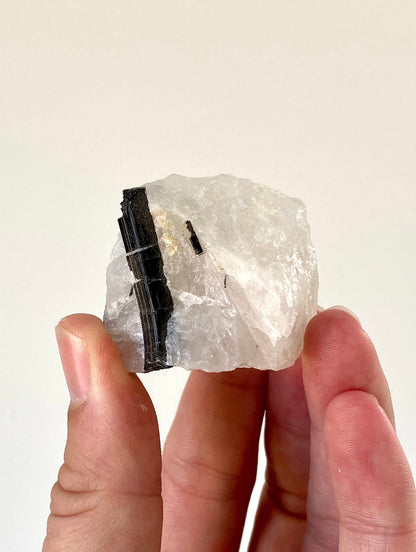 Raw Tourmaline on quartz - FossilsAndMore