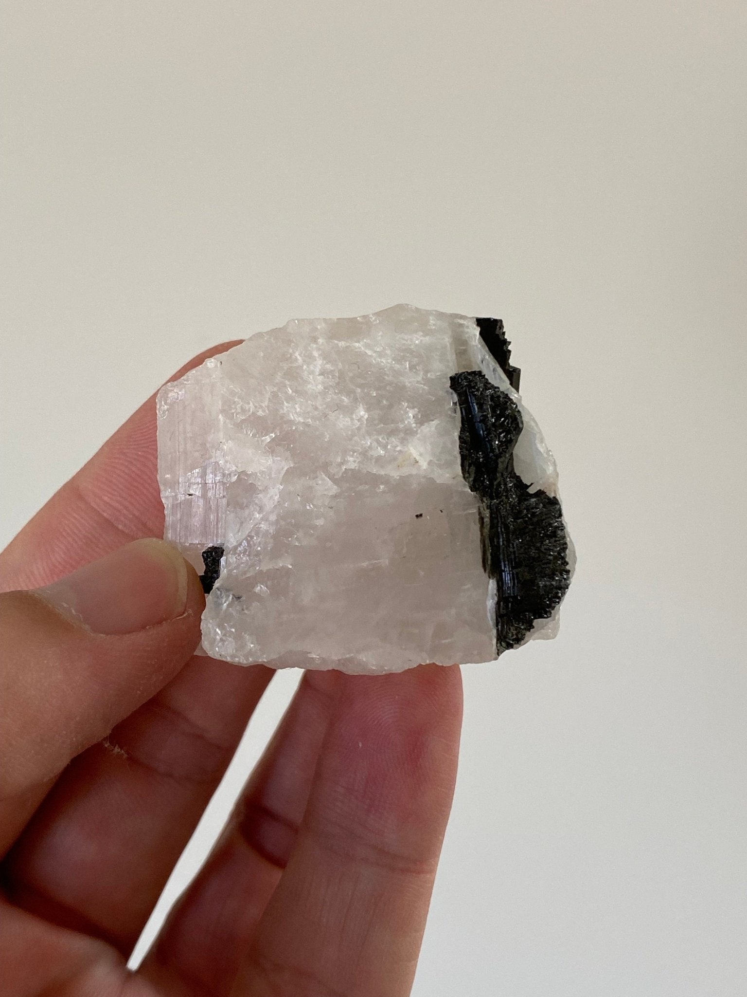 Raw Tourmaline on quartz - FossilsAndMore