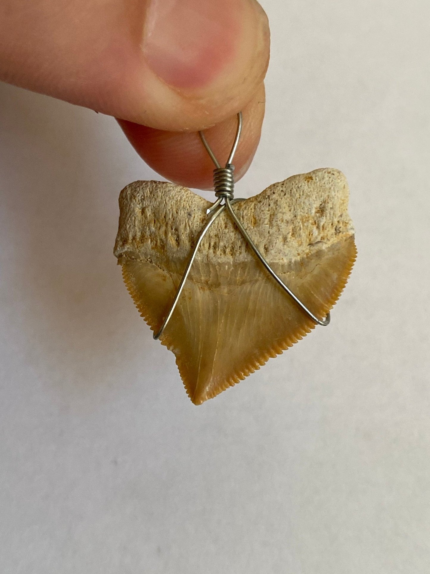 shark teeth fossil necklace pendants (2 different pieces) - FossilsAndMore