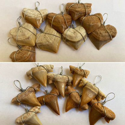 shark teeth fossil necklace pendants (2 different pieces) - FossilsAndMore