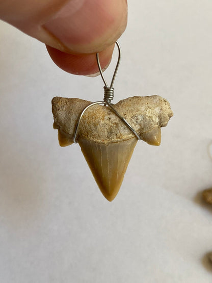 shark teeth fossil necklace pendants (2 different pieces) - FossilsAndMore