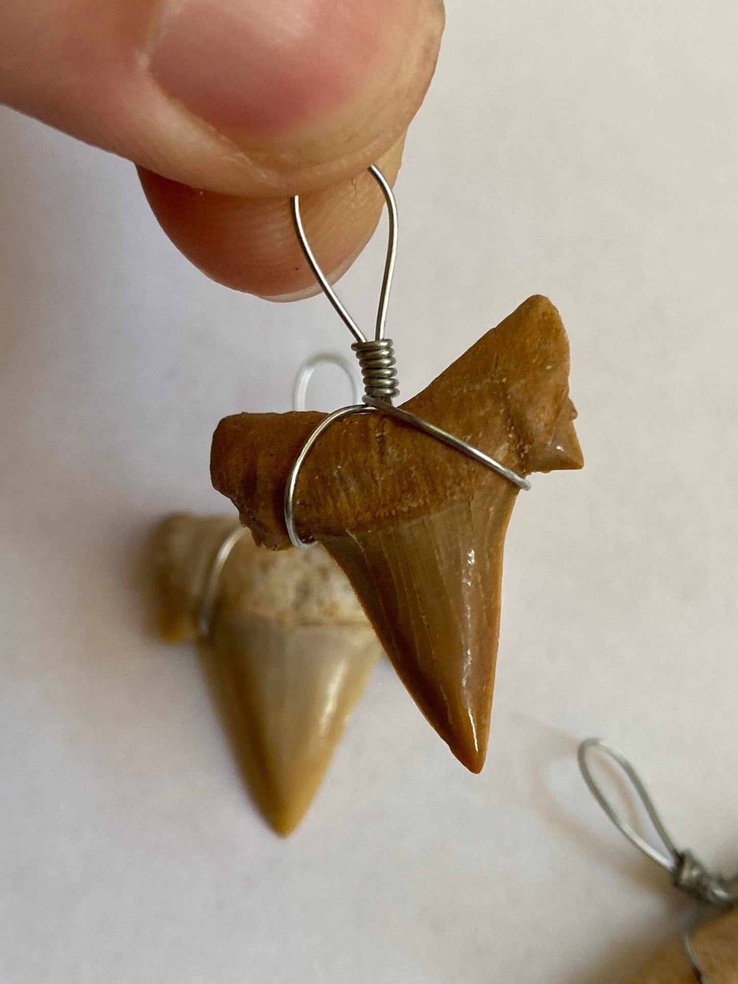 shark teeth fossil necklace pendants (2 different pieces) - FossilsAndMore