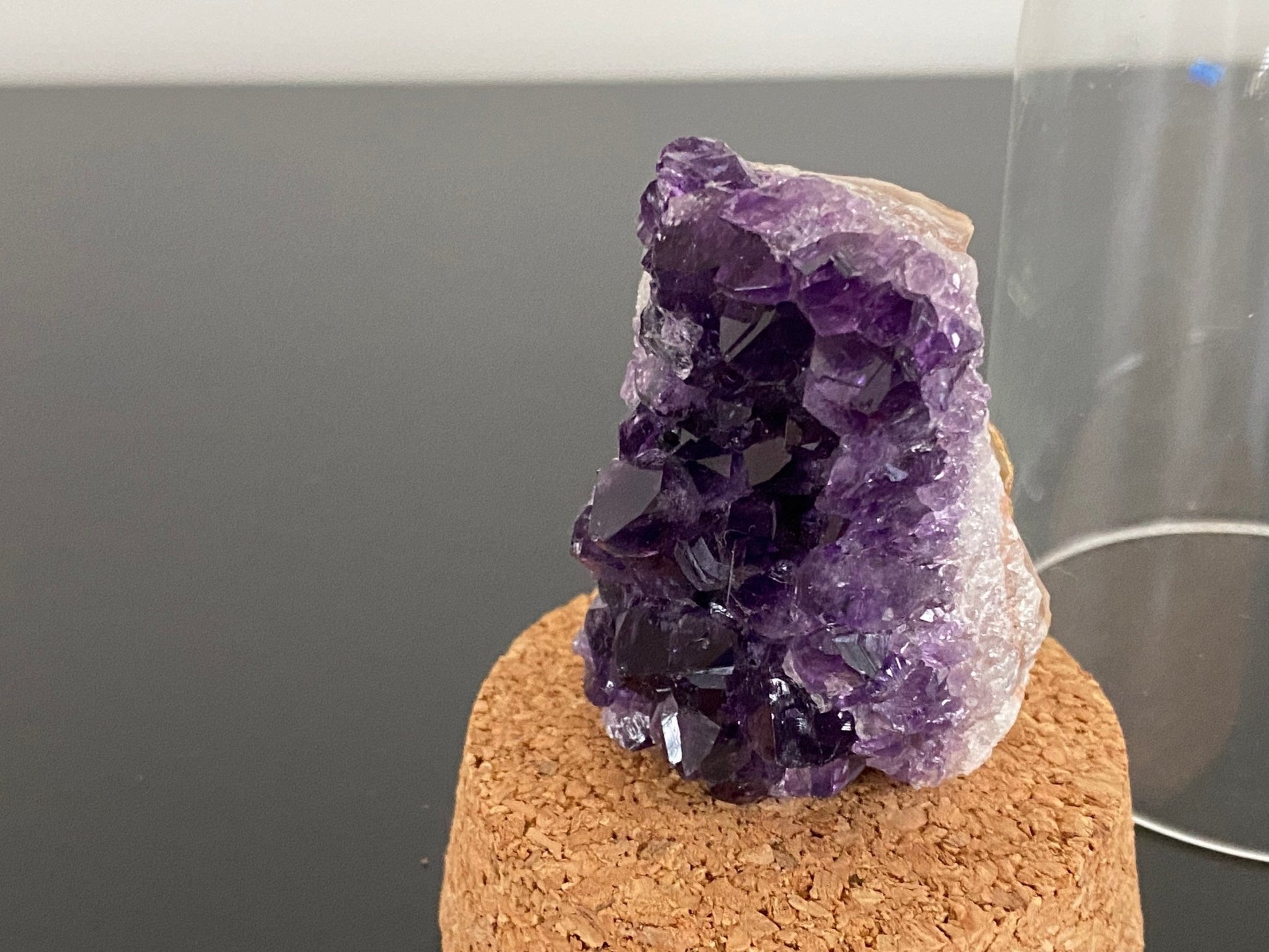 Small Amethyst cluster in glass bell jar, mineral - FossilsAndMore