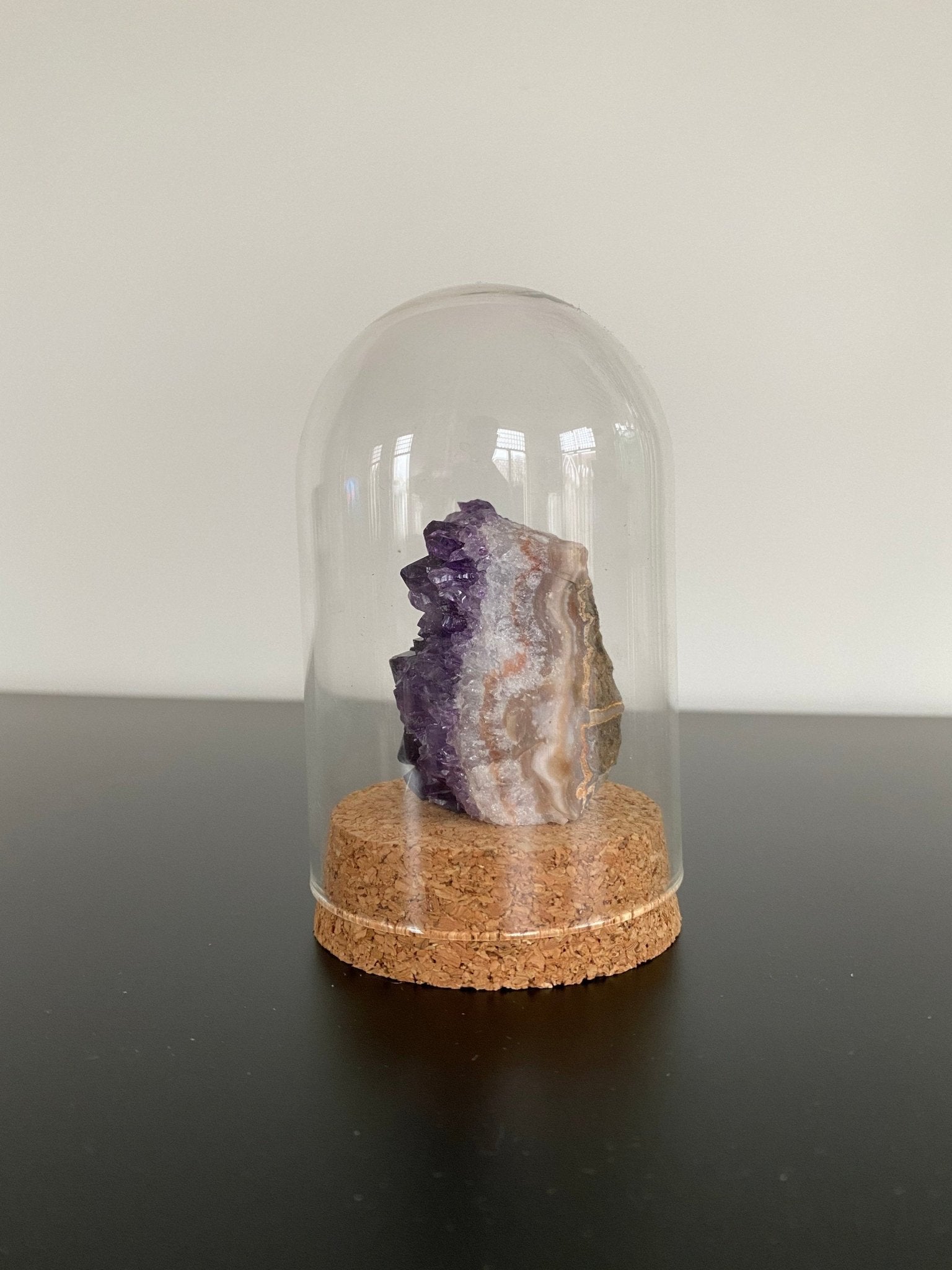 Small Amethyst cluster in glass bell jar, mineral - FossilsAndMore