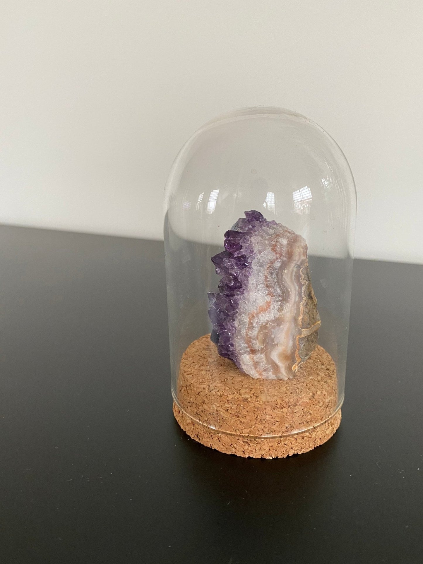 Small Amethyst cluster in glass bell jar, mineral - FossilsAndMore