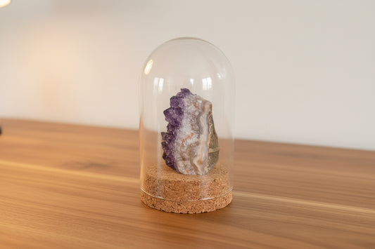 Small Amethyst cluster in glass bell jar, mineral - FossilsAndMore