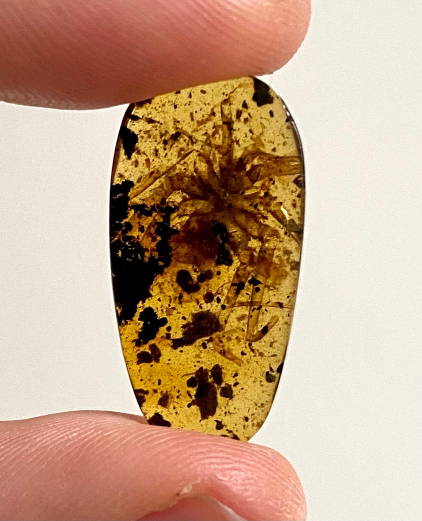 Spider in Burmese Amber, fossil tree resin - FossilsAndMore