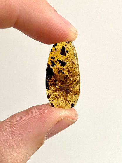 Spider in Burmese Amber, fossil tree resin - FossilsAndMore