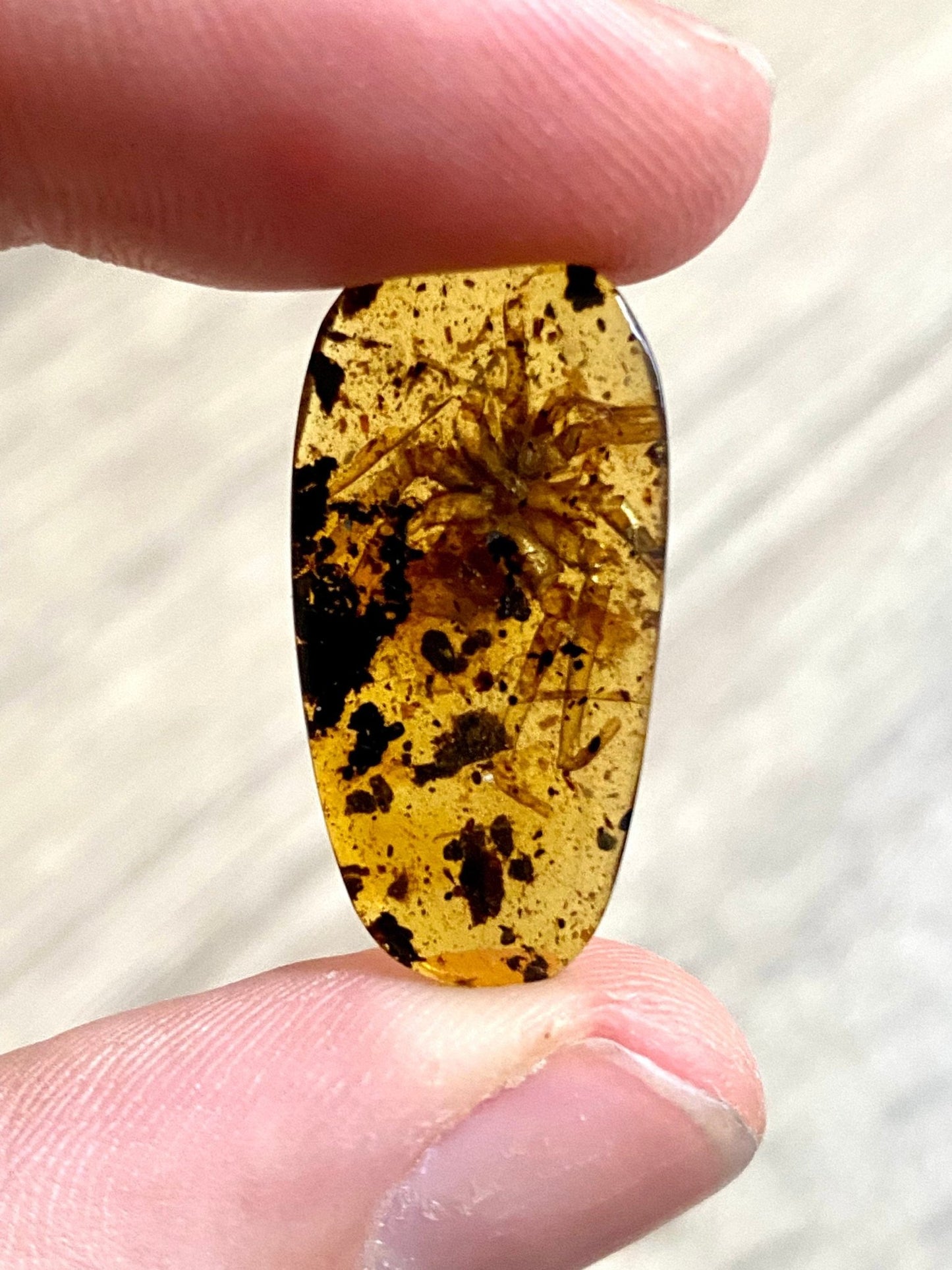 Spider in Burmese Amber, fossil tree resin - FossilsAndMore