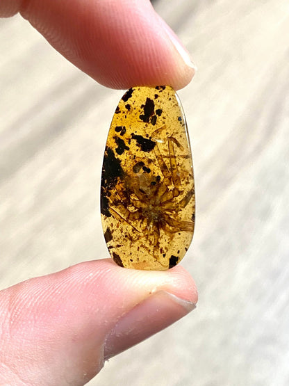 Spider in Burmese Amber, fossil tree resin - FossilsAndMore